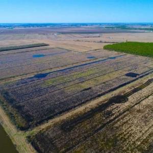 Photo of SOLD!!  72.5 Acres of Productive Farm Land and Duck Impoundment For Sale in Hyde County NC!