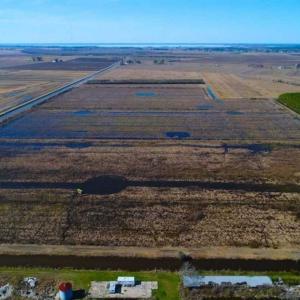 Photo of SOLD!!  72.5 Acres of Productive Farm Land and Duck Impoundment For Sale in Hyde County NC!