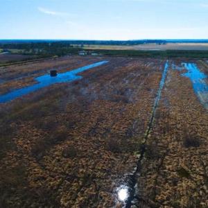 Photo of SOLD!!  72.5 Acres of Productive Farm Land and Duck Impoundment For Sale in Hyde County NC!