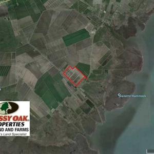 Photo of SOLD!!  72.5 Acres of Productive Farm Land and Duck Impoundment For Sale in Hyde County NC!