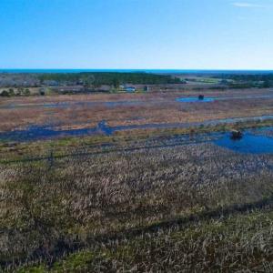 Photo of SOLD!!  72.5 Acres of Productive Farm Land and Duck Impoundment For Sale in Hyde County NC!