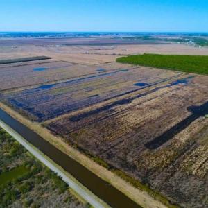 Photo of SOLD!!  72.5 Acres of Productive Farm Land and Duck Impoundment For Sale in Hyde County NC!