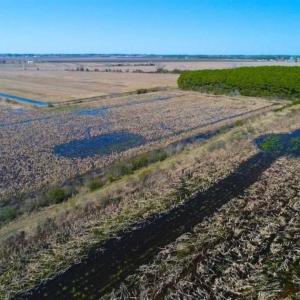 Photo of SOLD!!  72.5 Acres of Productive Farm Land and Duck Impoundment For Sale in Hyde County NC!