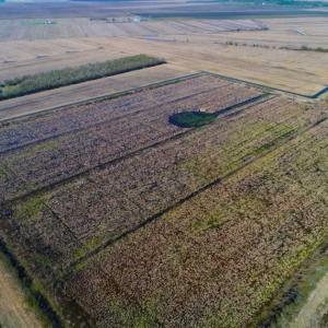 Photo of SOLD!!  72.5 Acres of Productive Farm Land and Duck Impoundment For Sale in Hyde County NC!