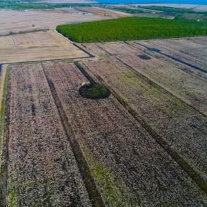 Photo of SOLD!!  72.5 Acres of Productive Farm Land and Duck Impoundment For Sale in Hyde County NC!