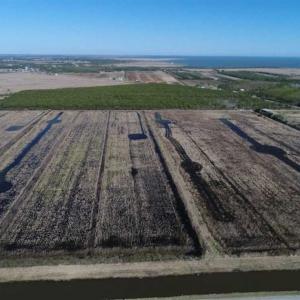 Photo of SOLD!!  72.5 Acres of Productive Farm Land and Duck Impoundment For Sale in Hyde County NC!