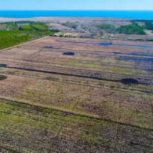 Photo of SOLD!!  72.5 Acres of Productive Farm Land and Duck Impoundment For Sale in Hyde County NC!