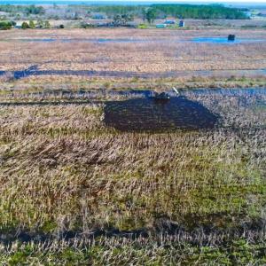 Photo of SOLD!!  72.5 Acres of Productive Farm Land and Duck Impoundment For Sale in Hyde County NC!