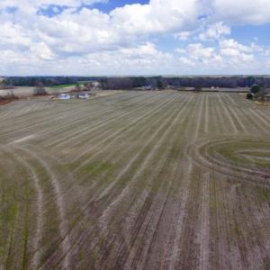 Photo of UNDER CONTRACT!  56.35 Acres of Farm and Timber Land For Sale in Edgecombe County NC!