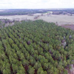 Photo of UNDER CONTRACT!  56.35 Acres of Farm and Timber Land For Sale in Edgecombe County NC!