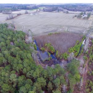 Photo of UNDER CONTRACT!  56.35 Acres of Farm and Timber Land For Sale in Edgecombe County NC!