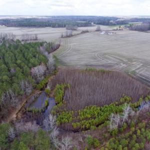 Photo of UNDER CONTRACT!  56.35 Acres of Farm and Timber Land For Sale in Edgecombe County NC!