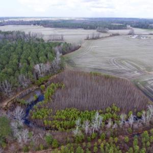 Photo of UNDER CONTRACT!  56.35 Acres of Farm and Timber Land For Sale in Edgecombe County NC!
