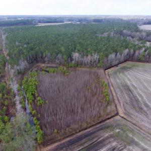 Photo of UNDER CONTRACT!  56.35 Acres of Farm and Timber Land For Sale in Edgecombe County NC!