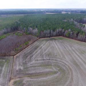 Photo of UNDER CONTRACT!  56.35 Acres of Farm and Timber Land For Sale in Edgecombe County NC!