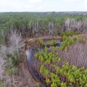 Photo of UNDER CONTRACT!  56.35 Acres of Farm and Timber Land For Sale in Edgecombe County NC!