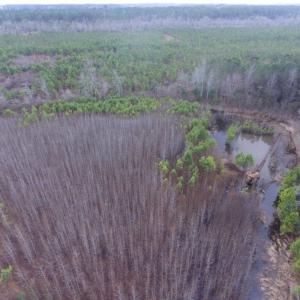 Photo of UNDER CONTRACT!  56.35 Acres of Farm and Timber Land For Sale in Edgecombe County NC!