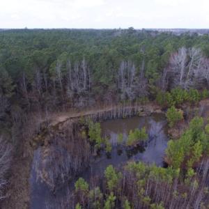 Photo of UNDER CONTRACT!  56.35 Acres of Farm and Timber Land For Sale in Edgecombe County NC!