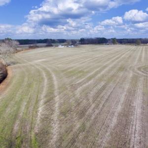 Photo of UNDER CONTRACT!  56.35 Acres of Farm and Timber Land For Sale in Edgecombe County NC!