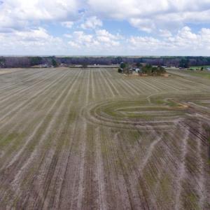 Photo of UNDER CONTRACT!  56.35 Acres of Farm and Timber Land For Sale in Edgecombe County NC!