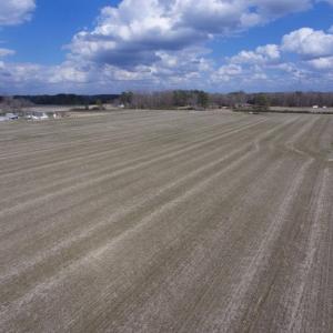 Photo of UNDER CONTRACT!  56.35 Acres of Farm and Timber Land For Sale in Edgecombe County NC!