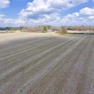 Photo of UNDER CONTRACT!  56.35 Acres of Farm and Timber Land For Sale in Edgecombe County NC!