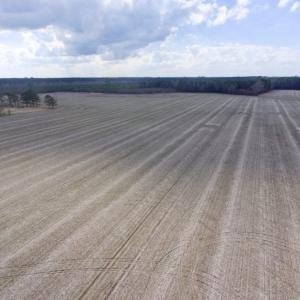 Photo of UNDER CONTRACT!  56.35 Acres of Farm and Timber Land For Sale in Edgecombe County NC!