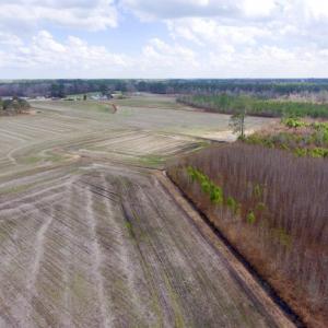 Photo of UNDER CONTRACT!  56.35 Acres of Farm and Timber Land For Sale in Edgecombe County NC!