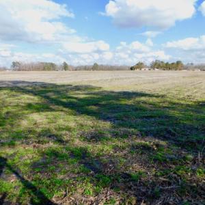 Photo of UNDER CONTRACT!  56.35 Acres of Farm and Timber Land For Sale in Edgecombe County NC!