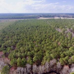 Photo of UNDER CONTRACT!  56.35 Acres of Farm and Timber Land For Sale in Edgecombe County NC!