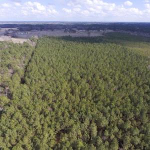 Photo of UNDER CONTRACT!  56.35 Acres of Farm and Timber Land For Sale in Edgecombe County NC!