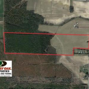 Photo of UNDER CONTRACT!  56.35 Acres of Farm and Timber Land For Sale in Edgecombe County NC!