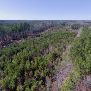 Photo of UNDER CONTRACT!  13.79 Acres of Timber and Residential Land For Sale in Warren County NC!