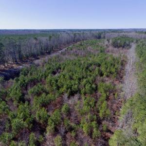 Photo of UNDER CONTRACT!  13.79 Acres of Timber and Residential Land For Sale in Warren County NC!
