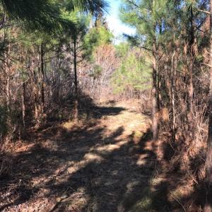 Photo of UNDER CONTRACT!  13.79 Acres of Timber and Residential Land For Sale in Warren County NC!