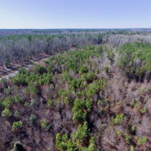 Photo of UNDER CONTRACT!  13.79 Acres of Timber and Residential Land For Sale in Warren County NC!
