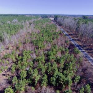 Photo of UNDER CONTRACT!  13.79 Acres of Timber and Residential Land For Sale in Warren County NC!