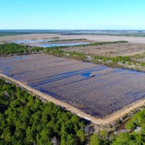 Photo of UNDER CONTRACT!  151 Acres of Duck Hunting Land with Home Site in Hyde County NC!
