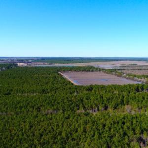 Photo of UNDER CONTRACT!  151 Acres of Duck Hunting Land with Home Site in Hyde County NC!