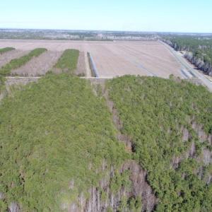 Photo of UNDER CONTRACT!  151 Acres of Duck Hunting Land with Home Site in Hyde County NC!