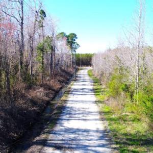 Photo of UNDER CONTRACT!  151 Acres of Duck Hunting Land with Home Site in Hyde County NC!