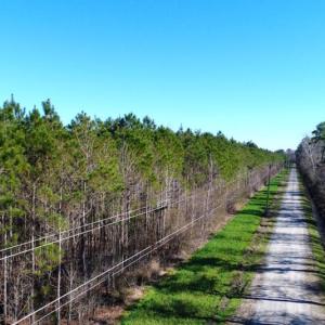 Photo of UNDER CONTRACT!  151 Acres of Duck Hunting Land with Home Site in Hyde County NC!