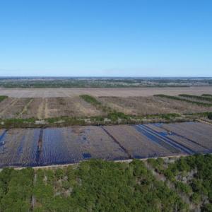 Photo of UNDER CONTRACT!  151 Acres of Duck Hunting Land with Home Site in Hyde County NC!