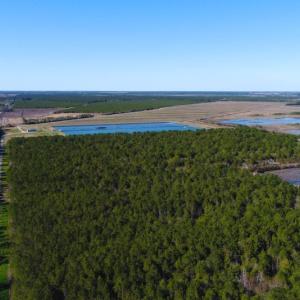 Photo of UNDER CONTRACT!  151 Acres of Duck Hunting Land with Home Site in Hyde County NC!