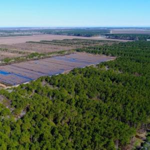 Photo of UNDER CONTRACT!  151 Acres of Duck Hunting Land with Home Site in Hyde County NC!