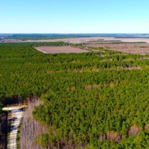 Photo of UNDER CONTRACT!  151 Acres of Duck Hunting Land with Home Site in Hyde County NC!