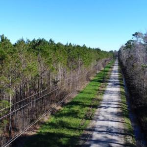 Photo of UNDER CONTRACT!  151 Acres of Duck Hunting Land with Home Site in Hyde County NC!