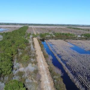 Photo of UNDER CONTRACT!  151 Acres of Duck Hunting Land with Home Site in Hyde County NC!