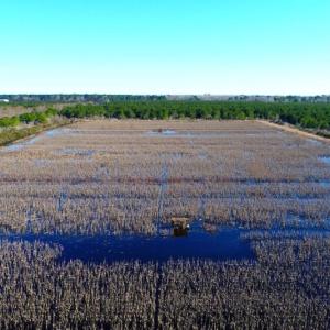 Photo of UNDER CONTRACT!  151 Acres of Duck Hunting Land with Home Site in Hyde County NC!