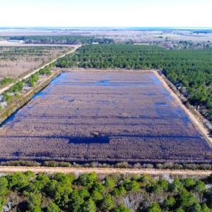 Photo of UNDER CONTRACT!  151 Acres of Duck Hunting Land with Home Site in Hyde County NC!